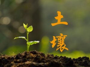 安徽土壤污染服务
