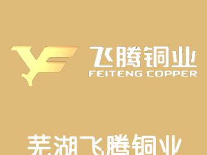 恭喜芜湖飞腾铜业有限公司通过尊龙凯时(中国)人生就是搏获得ISO9000证书
